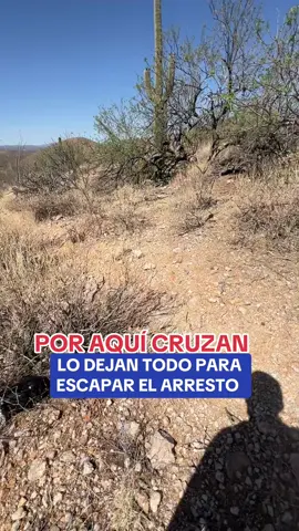 La manera de cruzar a cambiado , muhcos lo intentan pero noclo logran 