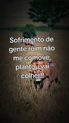 Tudo colhe!!! #fyyy #foryou #leao 
