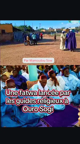 #fouta #toro #societe #phenomenal #senegalaise_tik_tok @Abdoul tall 