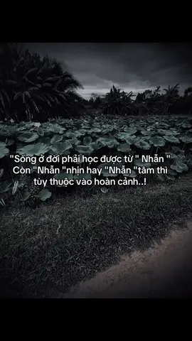 Nhẫn...? #hoanganh29012003 #fyp #tamtrang #sory #abcxyz 