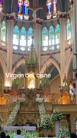 Mi virgen del cisne #LIVEIncentiveProgram #MyLIVEJourney #PaidPartnership 