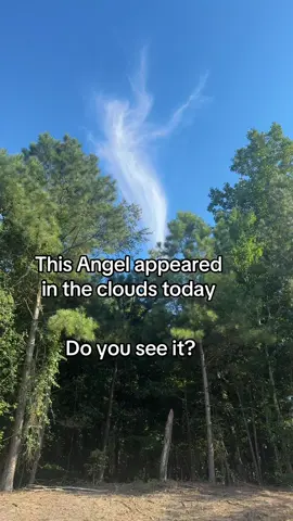 Do you see it?