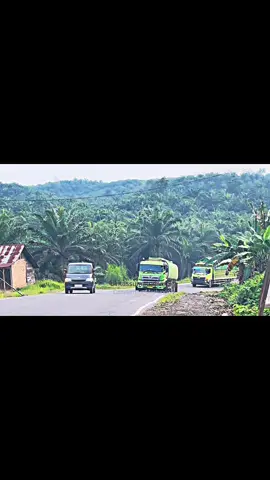 #cctvlintas_merlungsr #fyppppppppppppppppppppppp #lintassumatra #jambimerlung #truck 