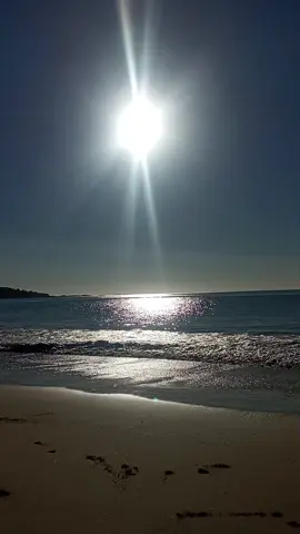 lindo día bonita compañía...