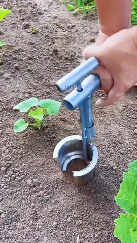 Petani sekarang harus kreatif karena tantangan zaman makin beragam. Tidak cukup hanya menanam dan menunggu panen, tapi juga perlu memikirkan cara baru agar hasilnya lebih maksimal. Kreatif berarti bisa memanfaatkan teknologi, mencoba metode tanam modern, mengolah hasil panen jadi produk bernilai tambah, bahkan memasarkan lewat media sosial. Dengan kreativitas, petani bukan hanya penghasil bahan pangan, tapi juga inovator yang bisa bersaing di era modern. Petani kreatif adalah kunci agar pertanian tetap maju, menguntungkan, dan selalu relevan dengan kebutuhan zaman. 🌱🚜✨ #teknologipertanian #teknologi #teknologipangan 