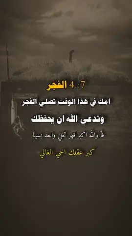 #عبارات_عبدالرحمن_المخلافي🎬 #اليمن_صنعاء_تعز_اب_ذمار_عدن_وطن_واحد #تعز #اليمن🇾🇪 #اليمن🇾🇪المملكة🇸🇦 