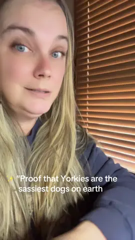 Yall idk 🤷🏼‍♀️ what I am going to do with her. She’s a mess #contentcreator #influencer #sahm #yorkie 