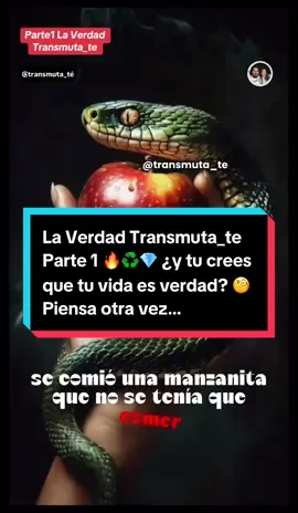 La verdad transmuta_te parte 1 #schumannresonance #verdad #transmutation #history #transmuta_te 