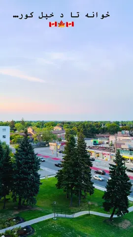 ځوانه تا د خپل کور ستوری یی #canada_life🇨🇦 #لمونځ_د_آرام_او_سکون_ستن_دي #🇨🇦🇨🇦🇨🇦🇨🇦🇨🇦🇨🇦🍁🍁🍁🇨🇦🇨🇦🍁🇨🇦🇨🇦🇨🇦🇨🇦🇨 #ګران_وطن_افغانستان♥️🇦🇫🇦🇫♥️🤲🤲🤲🤲🤲🤲 #🇨🇦🇨🇦🇨🇦🇨🇦🇨🇦🇨🇦🍁🍁🍁🇨🇦🇨🇦🍁🇨🇦🇨🇦🇨🇦🇨🇦🇨 