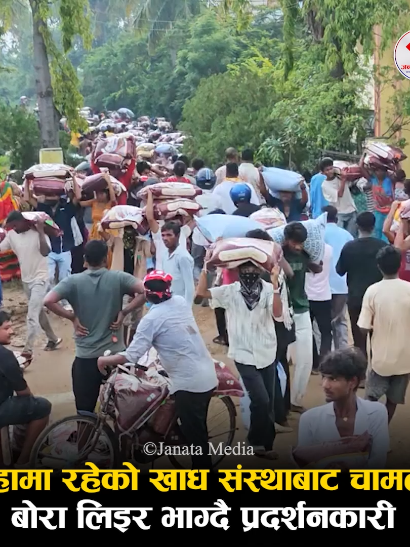 सिरहामा रहेको खाद्य संस्थाबाट चामलका बोरा लिइर भाग्दै प्रदर्शनकारी #janatatiktok #janatnews #janatatoday #janatareport #genzprotest #nepobabies #nepobaby #genz