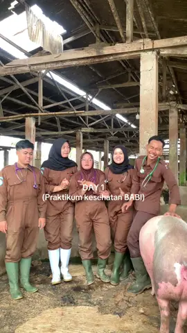Emang BABI #fyp #fyppppppppppppppppppppppp #kesehatanhewan #paramedikveterinerindonesia #duniabinatang 