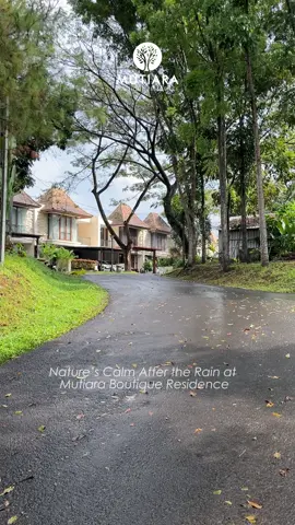 Suasana perumahan Mutiara Boutique Residence setelah hujan 😍 📍Lokasi : Jl. Ahmad Yani, Sayang-sayang, Kota Mataram #mutiaraboutiqueresidence #rumahimpian #perumahanmewah #rumahasri #mataram #rainyvibe 