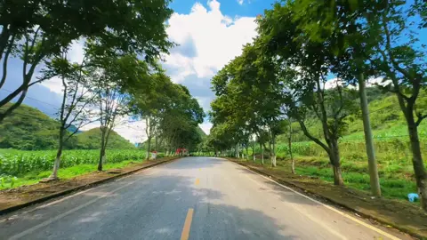 Cũng đẹp đấy chứ #nhachaycanhdep🌅🍀 