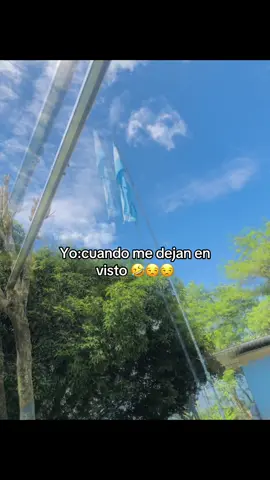 Que cólera😒🤣😡#humor#risas😂😂😂#contenido#fyp#briannaoficial💘👧🏻 