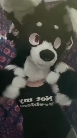 FRANKIE!!! i am very proud of her, still need to fur the gauge parts but i think shes looking awesome!!z you cant see her eyelashes tho:( #fursuit #furry #refurbished #furryfandom #fyp 