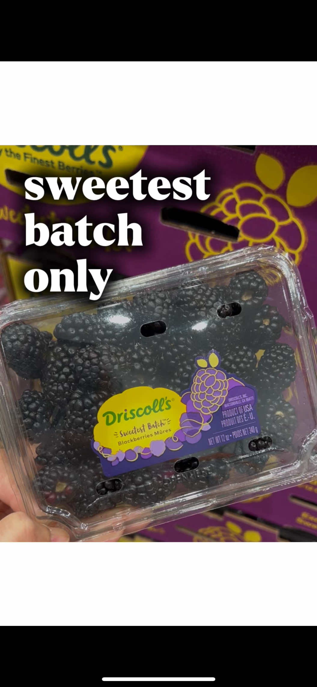 #costco #itsback #backatcostco #blackberries #costcobuys