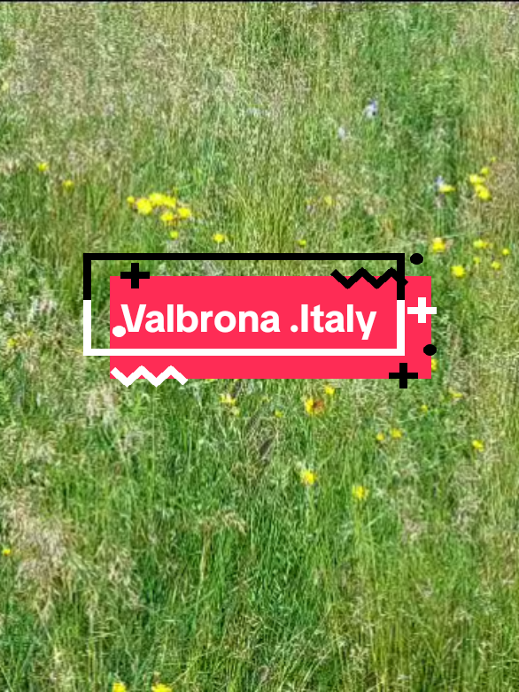 #videoviral  #iloveitaly 