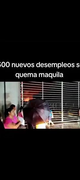 #noticias 