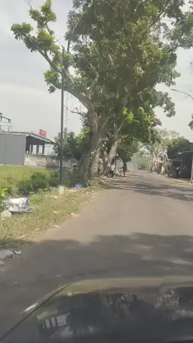 pak inggi klotok josss tenannn (Semangat pak )👍🏻👍🏻👍🏻@harto.merdeka 