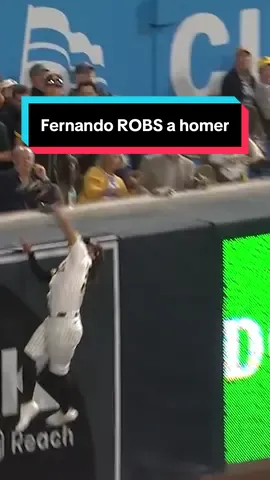 Nando is unreal! #baseball #MLB #sports