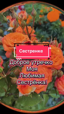 #доброеутро #сестренка #сестра #сестричка #2401svetlana 