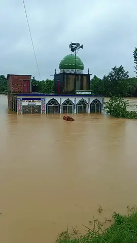 #🤲🏻😭🤲🏻🇧🇩😭 #😭😭🕌🕋📿🕌 #