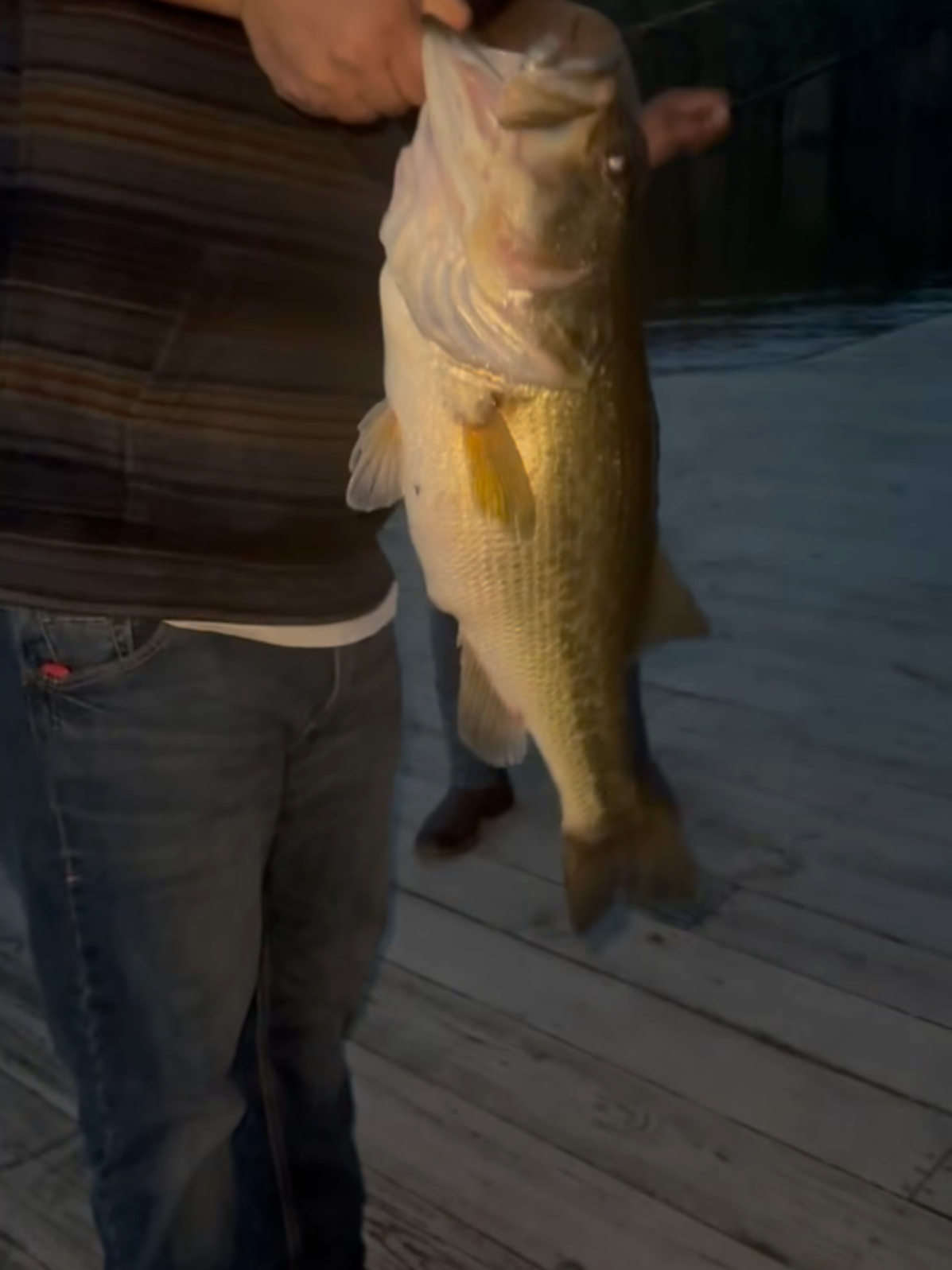 #fishing 