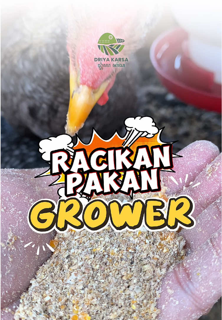 Sharing racikan pakan kami saat ini utk fase grower.. 🤗 #peternakpemula #kuntara4 #elba #ternakrumahan #belajarternak