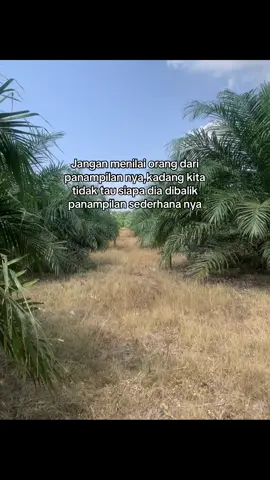 Kadang panampilan sederhana adalah topeng seseorang#petanisawit #bosssawit #sawitsumatraindonesia🌴🌴🌴 #petaniindonesia🇮🇩🇮🇩🇮🇩🌿🌿 #fyp 