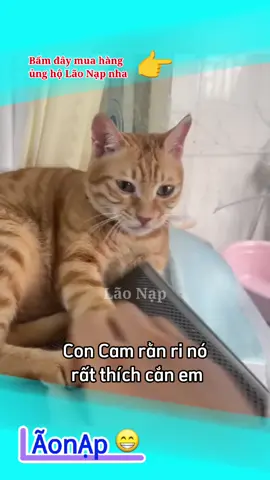 Không ám ảnh mới lạ 🤣 #laonap 