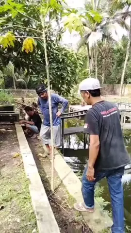 #dentomtr #fypシ #jangkauanluastiktok #comediahumor 