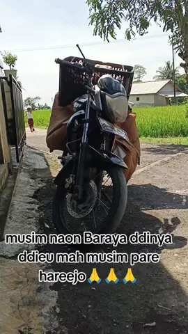 komen baraya Sunda like na ulah hilap🙏🙏💪💪#fyppppppppppppppppppppppp #viralvideo #cianjur  #vidio #semuaorang 