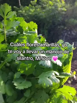 #😁😁😁  #💗💗 