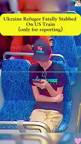 A Ukrainian Refugee St*bbed By A Black Man 23-year-old Ukrainian refugee Iryna Zarutska was fatally stabbed in an unprovoked attack by 34-year-old Decarlos Brown Jr. on Charlotte's Lynx Blue Line train  #blackfatigue #ukrainiangirl #crime #andrewilliams#foryou  