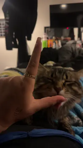 😛