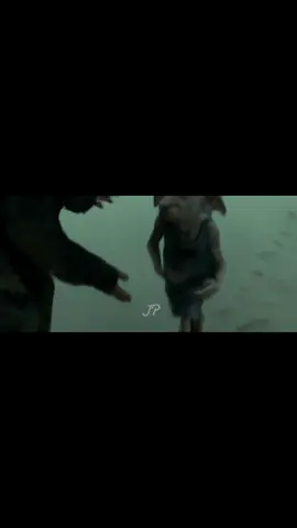 #corridosmagicos #harrypotter #dobby #dobbyisfree 