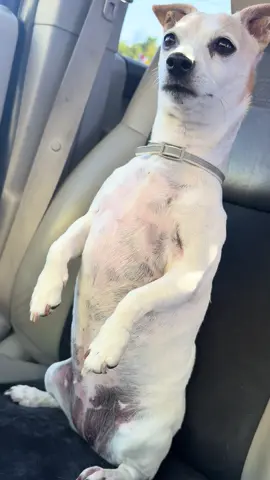 I swear she’s human 🤣🤣♥️