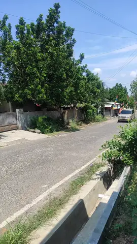 Di jual rumah Bandar lampung lokasi dekat ke kampus Unila ± 7 menit, dekat dengan jalan By pas Soekarno - Hatta...  #dijualrumah#jualrumah #perumahan #rumahcluster #bypass 