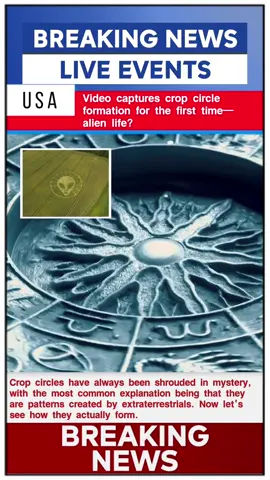 CCTV footage from behind a rural warehouse shows a crop circle forming in real time. The property owner swears no aircraft were in the area, yet skeptics have scrambled for years to explain it away.
 #ufo #uap #ufotiktok  #news #foryou #fpy #breakingnews