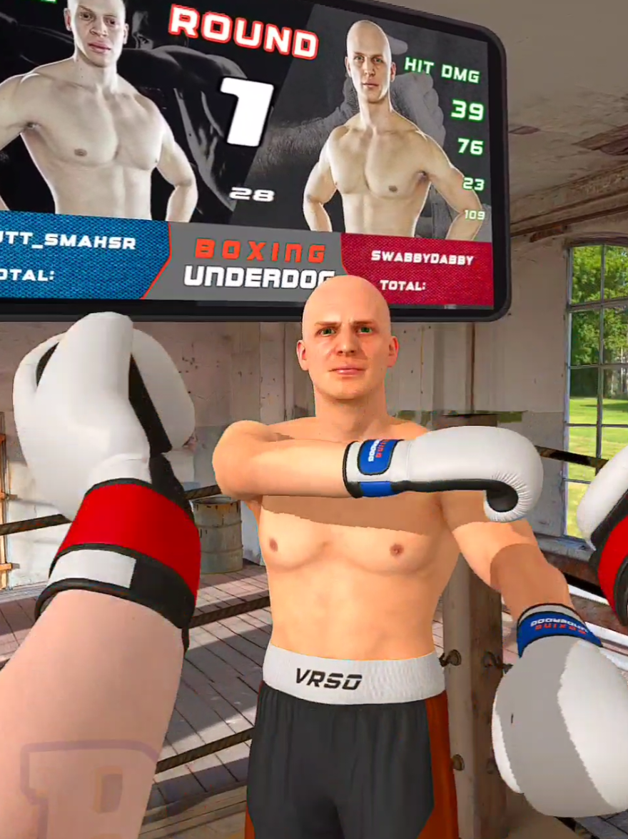 You know the (Power) drill #vr #gaming #boxing #funny