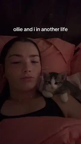 #fypシ゚viral #fyp #foryou #fy #kitten 