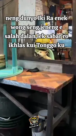 sabar ro ikhlas Tonggo 2 omah #zxycba #fypdongggggggggシ #storykatakata #storyrandom🥀 #jawapride🔥 @GEMOYmu🤡😈 