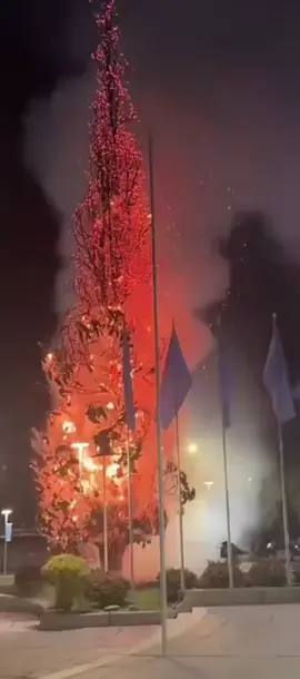 Reportan que se quemo un árbol en la plaza de las banderas en Cochabamba, esto se produjo a causa de los juegos pirotecnicos en festejos de la clasificación de Bolivia al repechaje al mundial #Noticias #Cochabamba #ATENCIÓN 