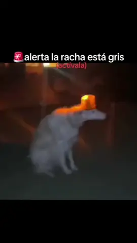 la racha la racha 🔥🔥🔥 #activa#la#racha#laracha