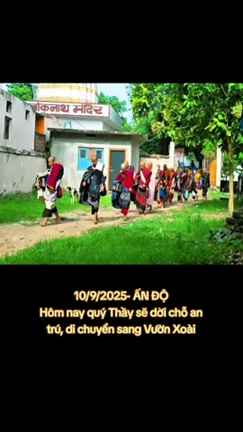 Hình ảnh quý Thầy vào BĐĐT 🥰🙏 #xuhuong #thichminhtue #gaimienque ☘️🌸
