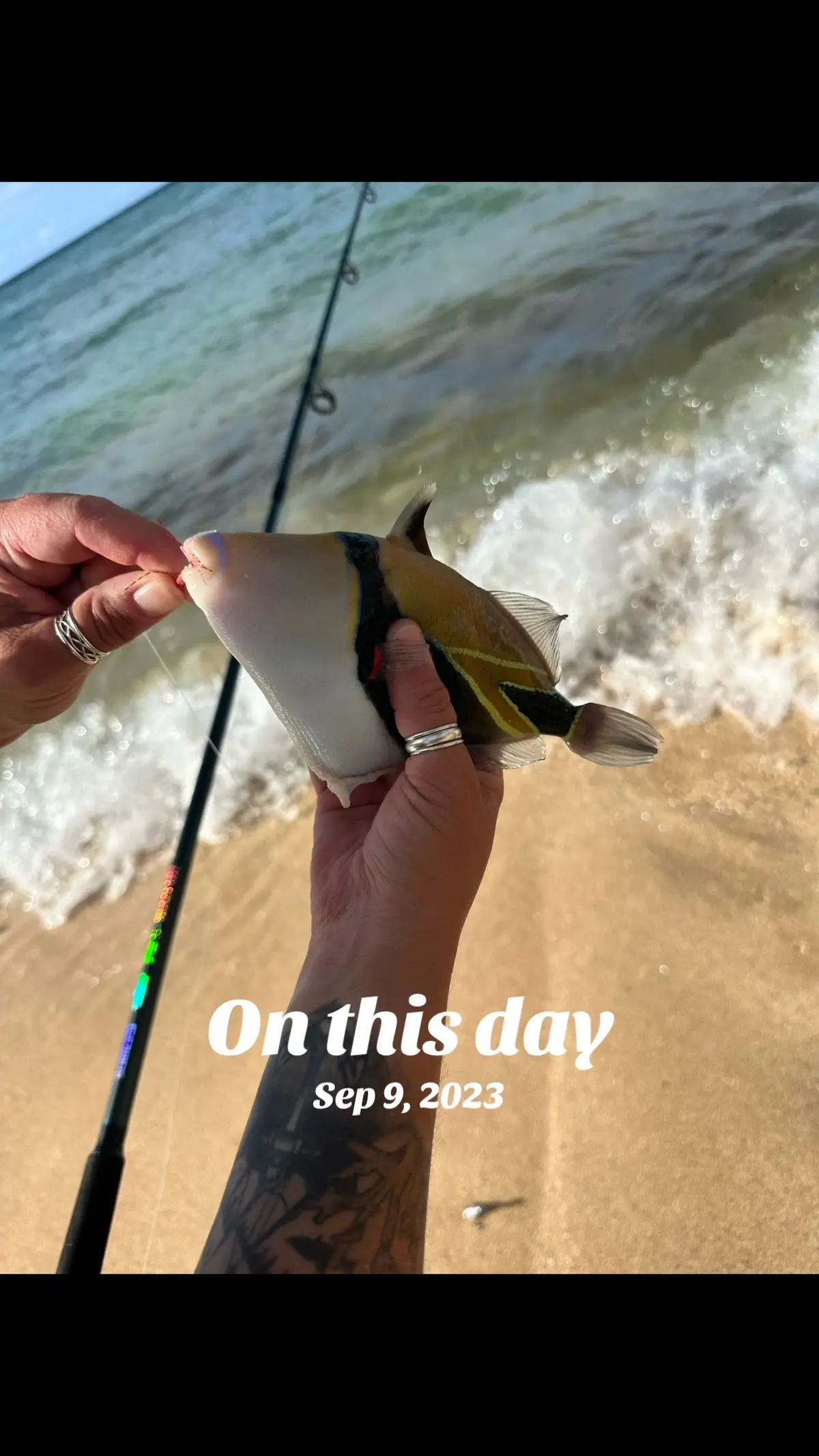 #onthisday That time I caught the State Fish of Hawaii. #humuhumunukunukuapuaa  