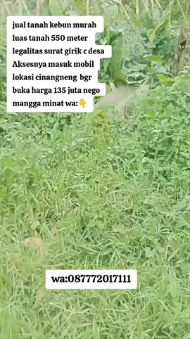 *Di jual tanah kebun murah  *Luas tanah 550 meter  *Surat sppt girik  *Aksesnya masuk mobil  *Harga 135 JT nego  *Tanah rata persegi  *Cocok untuk berkebun, Fila kebun,rumah kebun Dan impestasi *Air sangat bagus dari pegunungan  *Lokasi Bojong jengkol  Cinangneng  Ciampea Bogor barat Minat wa:087772017111#jualtanahmurah #kebunmurah #cocokwatberkebun #videovidio #fyp 