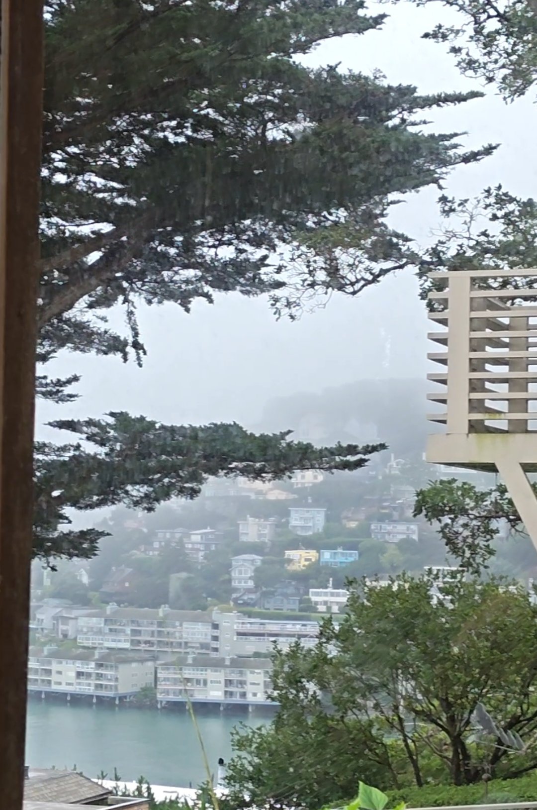HOA HOA season in the Bay! #fy #fyp #twilight #bayarea 