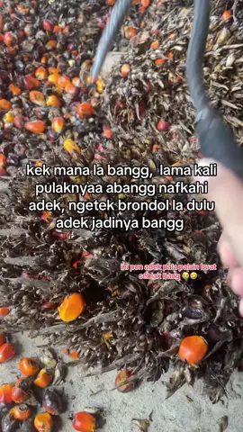 kurang buat seblak duett adekk 😭 #fypシ #sawitontiktok #berondolan #buluhala 