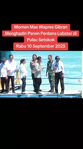 Wakil Presiden Gibran Rakabuming Raka Menghadiri Panen Perdana Lobster di Modeling Budidaya balai Perikanan Budidaya Laut (BPBL)  di Provinsi Kepulauan Riau Rabu 10 September 2025 #gibranrakabuming 